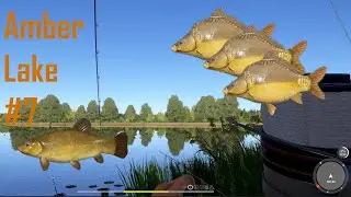 Russian Fishing 4 | Amber Lake | SPOT | CARP | CURRANT |  RF4 #7