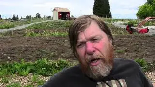 Presto Garden by Sustainable West Seattle