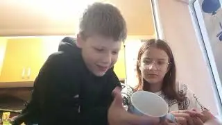 4 в 1