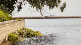 Arucas en equilibrio: paisajes con contenido ambiental