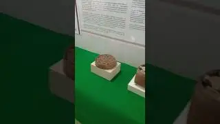 Benteng Rotterdam Makassar ( 6 Mei 2022)