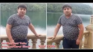 Vusal Tenha - Bedbext İnsanam 2020