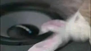 My favorite Blaupunkt advertisement