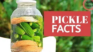 Pickle Fun Facts