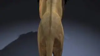 Lion anal vore