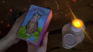 АСМР Карты Таро с котиками 🐈‍⬛| Близкий шепот | ASMR Cat Tarot🐈‍⬛ | Whisper