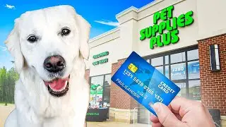 I Bought Everything My Dog Touched & Donated It!