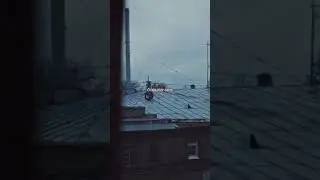 Loser - пачка сигарет