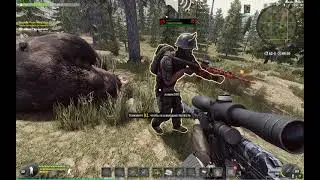 Will to Live online - Хомяк Чз шник )