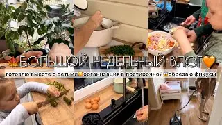 БОЛЬШОЙ НЕДЕЛЬНЫЙ ВЛОГ🍁ГОТОВЛЮ ВМЕСТЕ С ДЕТЬМИ🧡МОТИВАЦИЯ НА УБОРКУ В ДОМЕ🔥ОРГАНИЗАЦИЯ В ПОСТИРОЧНОЙ😱