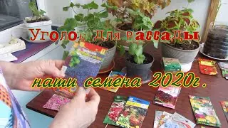 #рассада