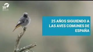 25 años del Programa SACRE