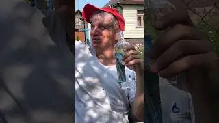 😁 А вы любите деревню так, как люблю её я?  #слыхалиновость