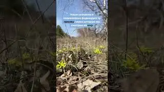 Призма жизни #мышление #трансформация #состояние