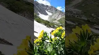 Адыгея.Лаго-Наки