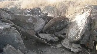 БЕЗЛИМИТИЩЕ ОГРОМНЫХ СТАЛЬНЫХ ЧУШЕК, КОЛЕС И ЗАПЧАСТЕЙ ОТ ТЕХНИКИ! КУСОК НА 7000! Коп металла