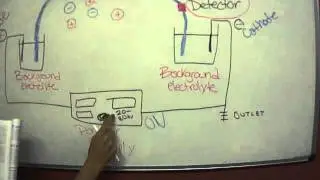 Capillary Electrophoresis