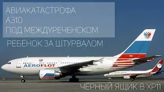 Черный ящик в X-Plane 11 Авиакатастрофа А310 под Междуреченском.