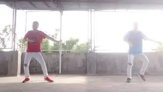 Avicii - Wake Me Up Dance Cover || Hilty and Bosch Choreography