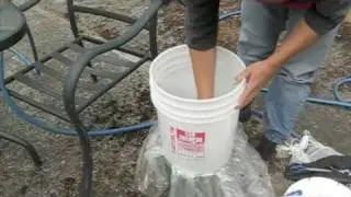 urban fly maggot farm for chickens