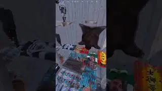 ANTS IN A BOX