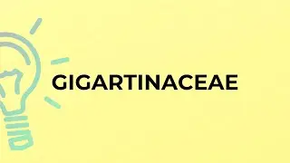 What is the meaning of the word GIGARTINACEAE?