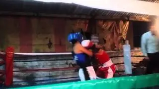 El bicho en coacalco II