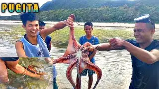 TRADITIONAL WAY OF FISHING.OCTOPUS CATCHING. #shorts #TRADITIONALFISHING #OCTOPUSCATCH
