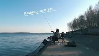 Фидер для новичка: как не сломать вершинку на фидере