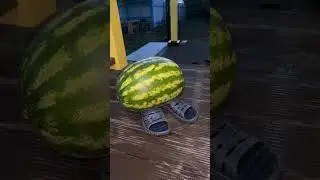 просто арбуз 