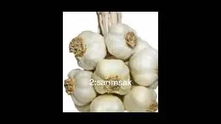 Vampirleri Öldüren Şeyler
