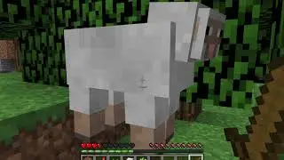 MinerKid youtube minecraft video#2