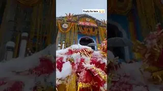 Har Har Mahadev 🙏🔱 kedarnath #kedarnath #mahadev #viral #video #youtubeshorts