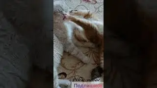 ты будешь меня любить, даже когда я психоватая