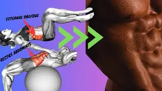 10 Must-Try Abs Workout Exercises for a Toned Core