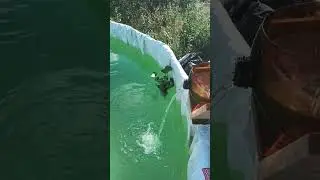 апгрейд басейна, установка биоплато