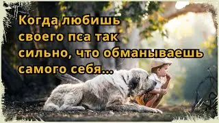 Аудио рассказ для души "Изумрудные огни"