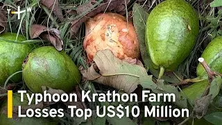 Taiwan Counts Agricultural Cost of Typhoon｜TaiwanPlus News