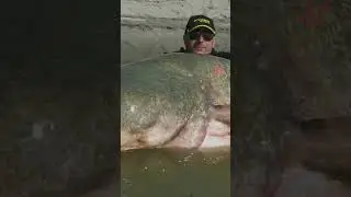 Ohio River Monsters #shorts #ohioriver