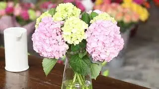 Chop and Drop Arrangement by Colour Republic