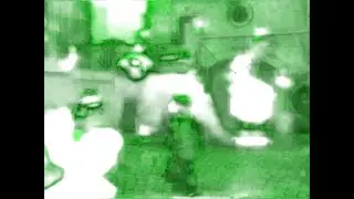 Sesame Street Big Bird Gets Lost Trailer Night Vision