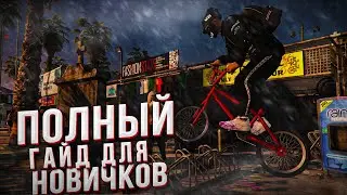 ЛУЧШИЙ СТАРТ! ПОЛНЫЙ ГАЙД ДЛЯ НОВИЧКОВ! (Majestic #5)