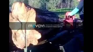 https://www.youtube.com/watch?v=k7sCC7k2uCA&feature=youtu.be