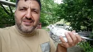 поймал беглянку