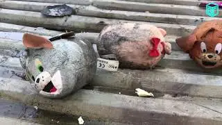 NEWS DEAF Глухих 2 Помогите у неё сгорел дом