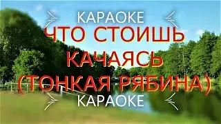 КАРАОКЕ -  ЧТО СТОИШЬ КАЧАЯСЬ  ТОНКАЯ РЯБИНА