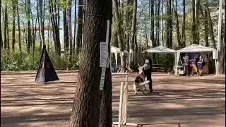 ВД Зорге