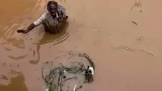 2024 India Floods - Andhra Pradesh