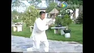 程派高式八卦掌_龍形拳
