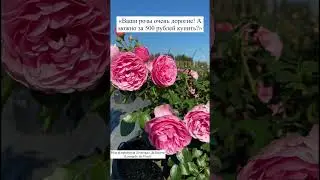 22 ноября 2023 г.